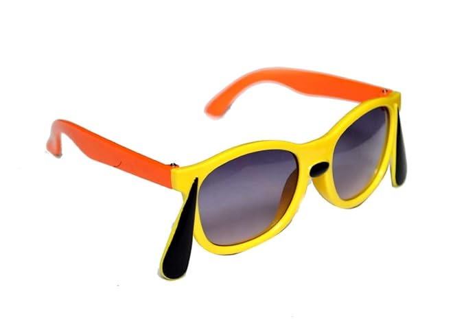 latest sunglasses design 2019