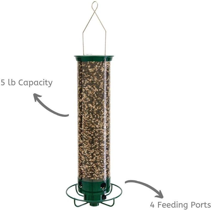 Droll Yankees Inc Yf Flipper 4 Port Hanging Bird Feeder Amazon