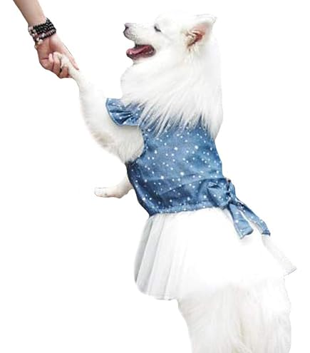 Amazon.com: Large Dog Dress