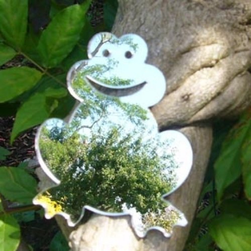 Frog Mirror 60cm x 49cm