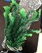 donau Green Large Aquarium Plants Plastic Fish Tank Plants Aquarium Decor 16.5 Inchesthumb 3