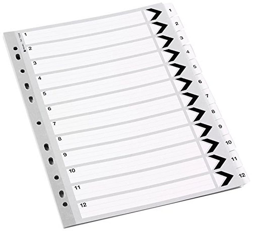 Acco Rexel Mylar Divider A4 12 Sections Extra Durability by Tough Plastic Reinforced Tabs & Edge of Golf Course Hole Eurolochung Fits Easily Into The Most Standard Ring Binders, White