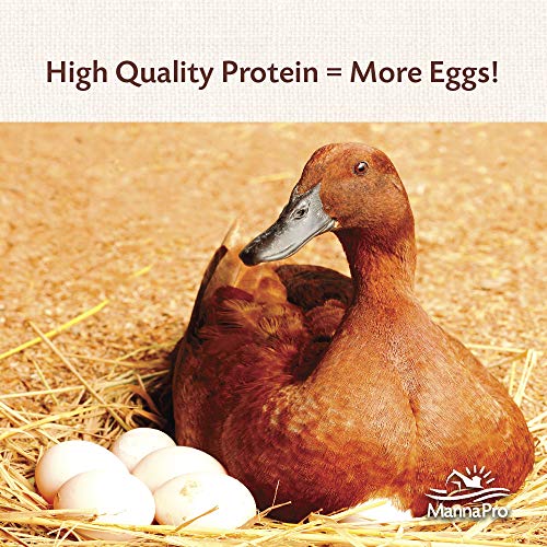 Manna Pro Duck Layer Pellets, 8 Pounds (Pack of 2) Pricepulse