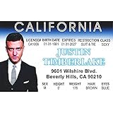 Justin Timmberlake Fun Fake ID License