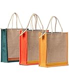 Indian Stallion Trendy Plain 3 Jute Lunch Bag Combo