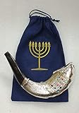 Shofart Israel 12 Tribes silver plated rams' ram