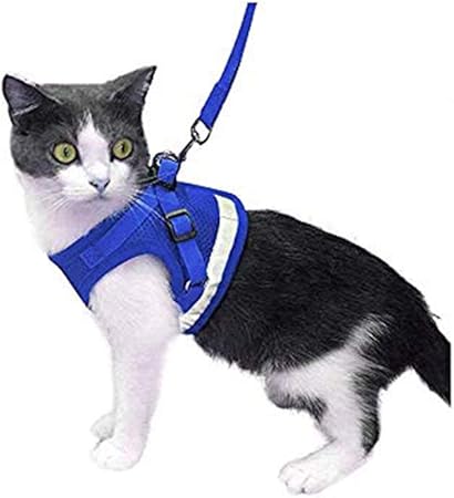 amazon cat harness and lead