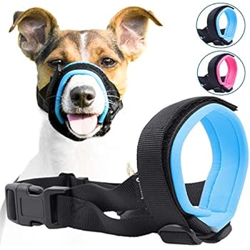 Gentle Muzzle Guard for Dogs - Prevents Biting and Unwanted Chewing Safely - New Secure Comfort Fit - Soft Neoprene Padding - No More Chafing - Training Guide Helps Build Bonds with Pet (M, Blue)