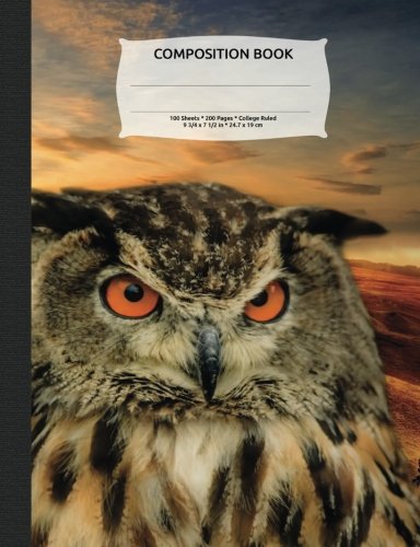 Wise Owl Sunset Composition Notebook, College Ruled: Lined Student Exercise Book