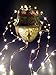 Qualizzi Starry Lights 60 Feet Xx-Long / 360 LEDs with Remote Control Dimmer. Warm White Lights on Copper Wire String. Fading Fairy Effects. White 110/220v Pw Adaptor