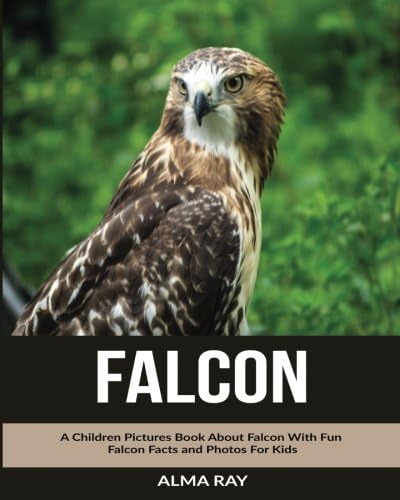 Falcon: A Children Pictures Book About Falcon With Fun Falcon Facts and Photos For Kids