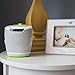 MyBaby, SoundSpa Lullaby Sound Machine & Projector | Choose From 6 Soothing Sounds & Nursery Lullabies | Rotating Picture Projector & 3 Image Disks | Convenient Disk Storage & Auto-Off Timer