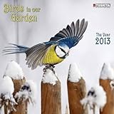 (12x12) The Birds in your Garden - 2013 Wall Calendar by 