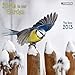(12x12) The Birds in your Garden - 2013 Wall Calendar by 