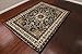 Generations 8023black Oriental Traditional Isfahan Persian Area Rug, 2 x 3', Black