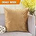 Home Brilliant Gold Velvet Pillow Covers 18x18 Holiday Throw Pillow Cover Decorative Pillow Cases for Bedroom Living Room Decorations, 45cm (18 x 18 inch), Gold