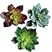 Assorted set of 3 Artificial Succulent Cabbage Echeveria Picks Faux Succulents 3 colors(green,soft green,plum green),3.6