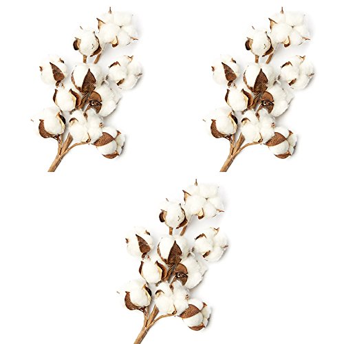 Factory Direct Craft Artificial Cotton Boll Embellishing Stems for Indoor Decor - 3 Stems