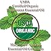 Organic Peppermint Essential Oil Large 4 oz, USDA Certified Organic, By Mary Tylor Naturals Premium Therapeutic Grade, 100% Pure, Perfect for Aromatherapy, Relaxation, Improved Mood, Repel Mice, Pests