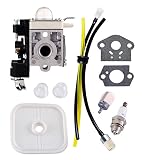 Podoy A021003661 Carburetor PB-250LN for Echo RB-K106 Blower with Air Filter Fuel Maintenance Kit PB-250 Handheld Blower Carburetor ES-250