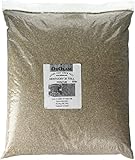 KENTUCKY 31 FESCUE 10 LB