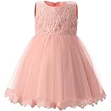 TTYAOVO Girls Lace Tulle Flower Princess Party Toddler and Baby Girl Dress