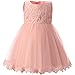 TTYAOVO Girls Lace Tulle Flower Princess Party Toddler and Baby Girl Dress