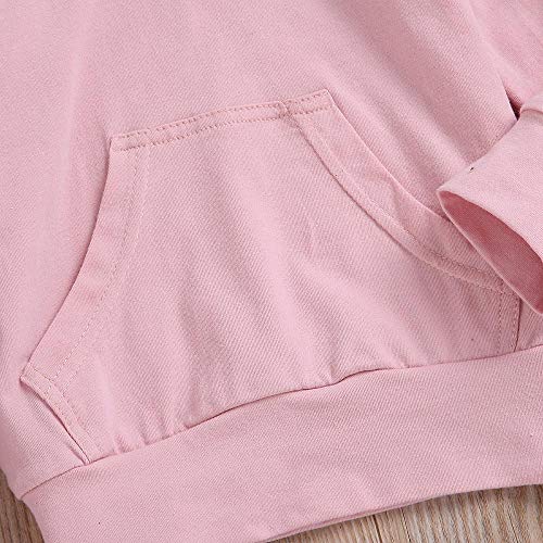 Kshion Infant Boys Girls Winter Shark Hooded Sweatshirt with Kangaroo Muff Pockets& Shark Fin (Pink, 2T)