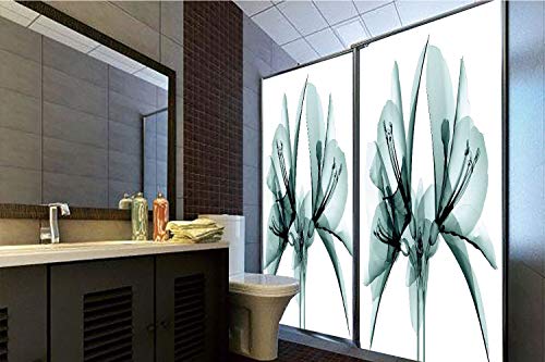 Decorative Privacy Window Film, 35.43"H x 23.62"W for Home&OfficeXray Flower,Illustration of a Blooming Transparent Flower X ray Vision of Nature Solarized Print,Teal White,35.43"H x 23.62"W f