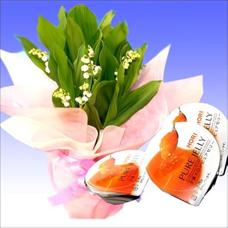 Amazon Co Jp 遅れてごめんね 母の日限定 北海道すずらん8本鉢植え 4 5号鉢 夕張メロンピュアゼリーセット ホーム キッチン