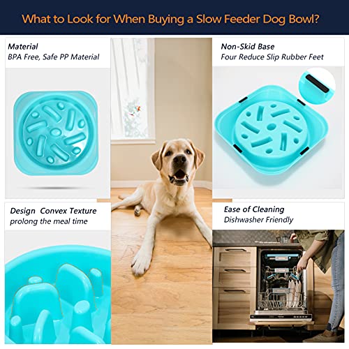 Set of 2 Slow Feeder Dog Bowls JASGOOD Anti Gulping Pet Slower Food Bowls Blue Interactive Puzzle Durable Pet Bowls