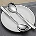 Cand Stainless Steel Serving Spoons, 6 Pieces Large Tablespoon, 9.7 Inches