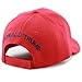 The Hat Depot 1300 Donald Trump 2016 