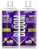 RX Green Solutions Bloom A&B 1 Quart Bundle