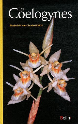 Les  coelogynes