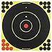 Birchwood Casey Shoot-N-C Paper Bullseye Target 12