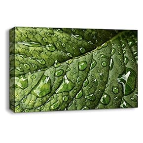 Leaf Veins Pictures Home Wall for Bedroom Living...