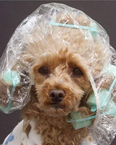 100 Disposable Clear Mop Mob Caps Clipped Hair Head Cover Shower Cap Plastic for Beauty Salon,Food Service,Hospitals,Laboratories,Manufacturing or Spray Tanning