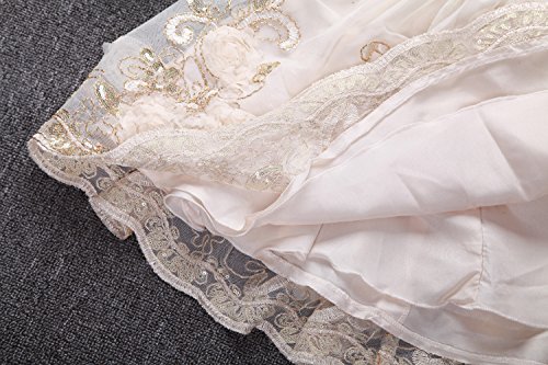 Ruffles Lace Bow Flower Tulle Princess Formal Wedding Birthday Party Dress for Toddler Baby Girl (5-6 Years, Champagne 3D)
