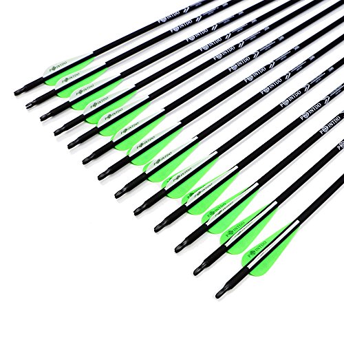 Pointdo 12pcs 30Inch Archery Carbon Arrow Hunting And Practice Targeting Arrow with Replaceable Tips and 3" Light Vanes For Recurve Bow& Compound Bow