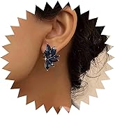 Yheakne Vintage Black Cluster Crystal Earrings Cluster Black Crystal Earrings Rhinestone Leaf Chandelier Earrings Black Cz Leaf Earrings Jewelry for Women