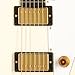 Gibson Reverse Flying V Limited Edition Electric Guitar
