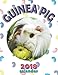 Guinea Pig 2018 Calendar by Wall Publishing