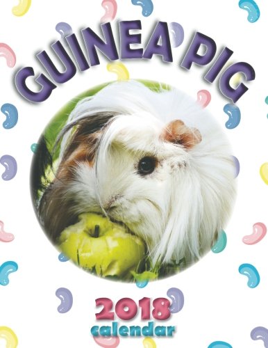 Guinea Pig 2018 Calendar by Wall Publishing