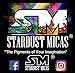Stardust Micas Pigment Powder Cosmetic Grade Colorant for Makeup, Soap Making, Epoxy Resin, DIY Crafting Projects, Bright True Colors Stable Mica Batch Consistency (Black Shimmer, 10 Gram Jar)