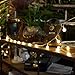 100 LED Globe String Lights, Ball Christmas Lights, Indoor/Outdoor Decorative Light, USB Powered, 39 Ft, Warm White Light - for Patio Garden Party Xmas Tree Wedding Decoration by SPIRITUP