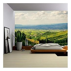 Natural Landscape with Fields and Forests Over Cloudy Sky - Removable Wall Mural | Self-Adhesive Large Wallpaper - 66x96 inches