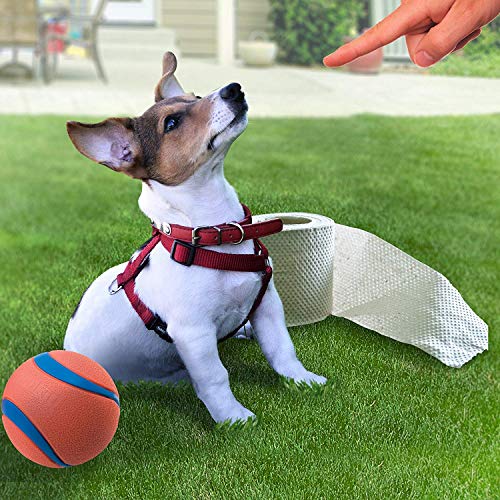 SavvyGrow Artificial Grass for Dogs Pee Pads Premium 4 Tone Puppy