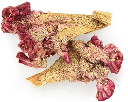 Tomox Cockscomb red cockscomb chicken cockscomb flowers 500 grams herb bun