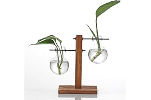 Kingbuy Hydroponic Glass Vase Vintage Desktop Plant Terrarium Planter Bulb Vase Water Planting Propagation Vase Planters Hydroponics Plants with Retro Wooden Stand Home Garden.